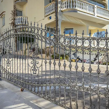 شقة 1 Bedroom In *