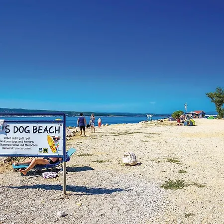 1 Bedroom In ツリクヴェニツァ